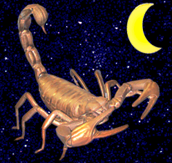 Mondkalender: Sternzeichen Skorpion in der Mondphase abnehmender Mond