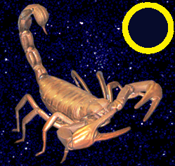 Mondkalender: Sternzeichen Skorpion in der Mondphase Neumond